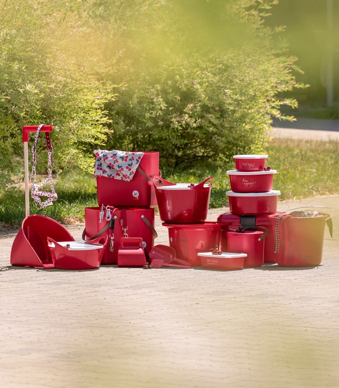 Waldhausen Skrzynka na akcesoria do pielęgnacji konia cherry red – zdjęcie 6
