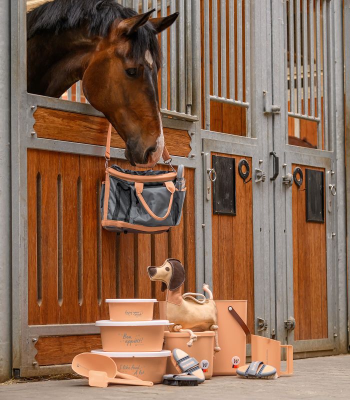 Waldhausen Torba ECO Multibag Peach 6L