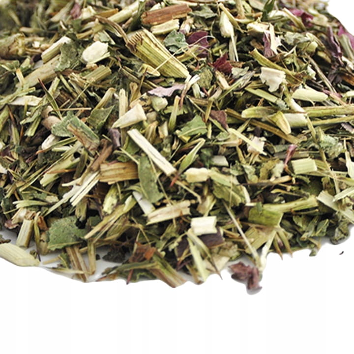 PRO-LINEN Echinacea Plus z dziką różą