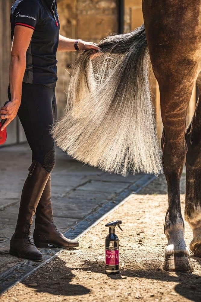 CANTER MANE&TAIL Odżywka do grzywy i ogona 1000 ml