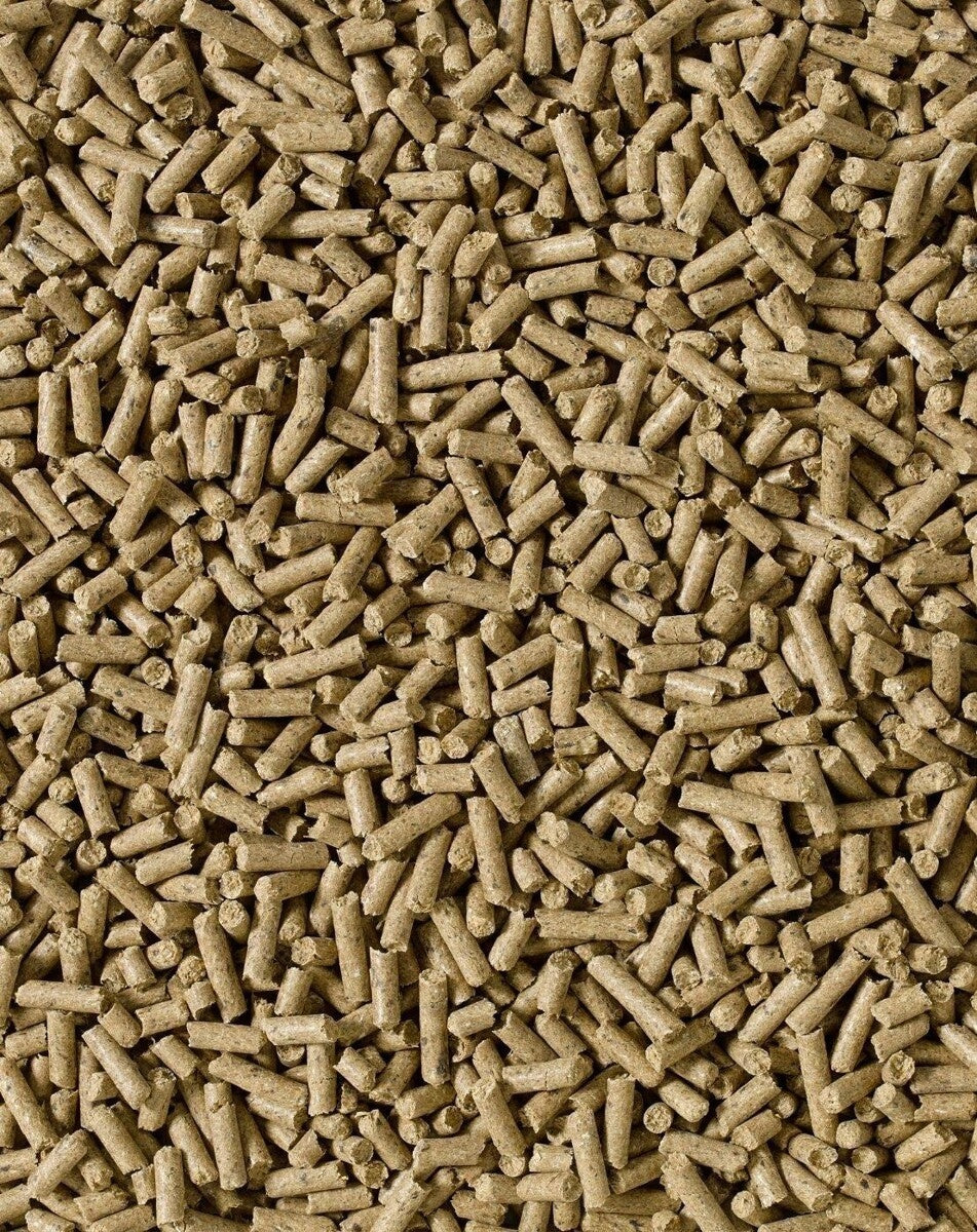 SARACEN Condition-Improver Cubes dla koni 20kg