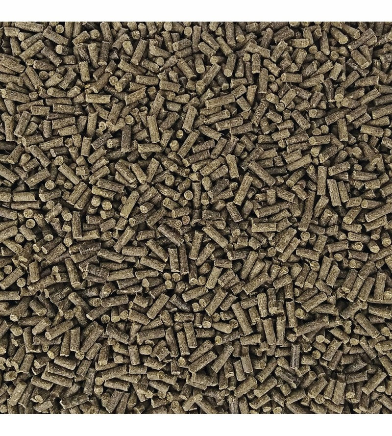 E VET RespirOforte koni problemy oddechowe 1kg