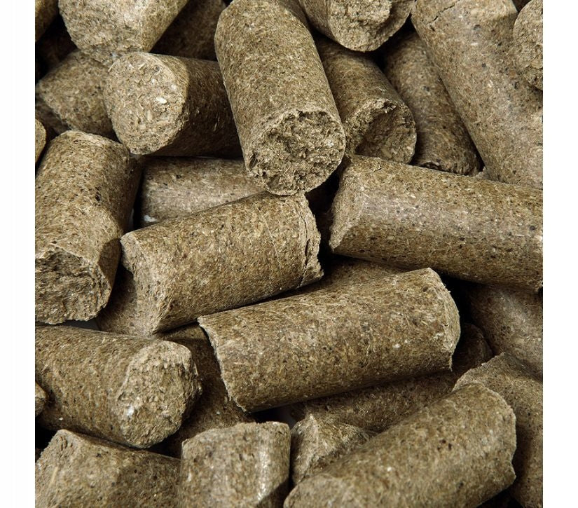 Delicious Speed eukaliptus przysmak dla koni 5kg