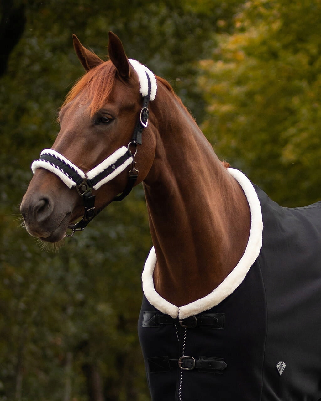KANTAR PARCIANY Z FUTREM DIAMOND QHP CZARNY - PONY