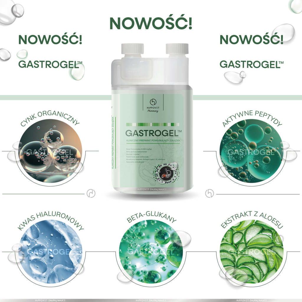 Hippovet Pharmacy GASTROGEL 1,2l – suplement na wrzody w formie żelu