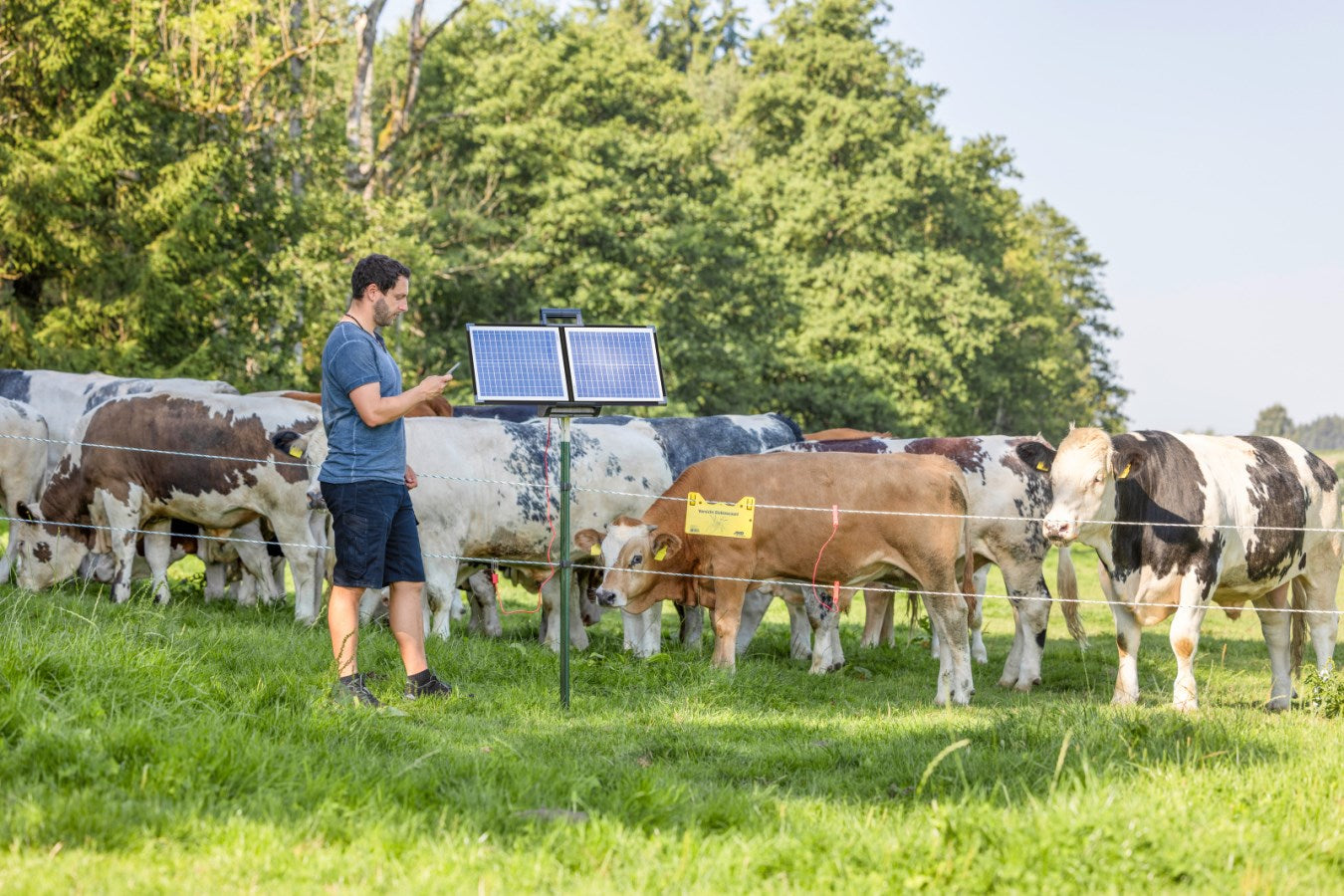 Elektryzator solarny AKO Sun Power S4000 Smart dla koni, bydła, dzikiej zwierzyny 5,5J
