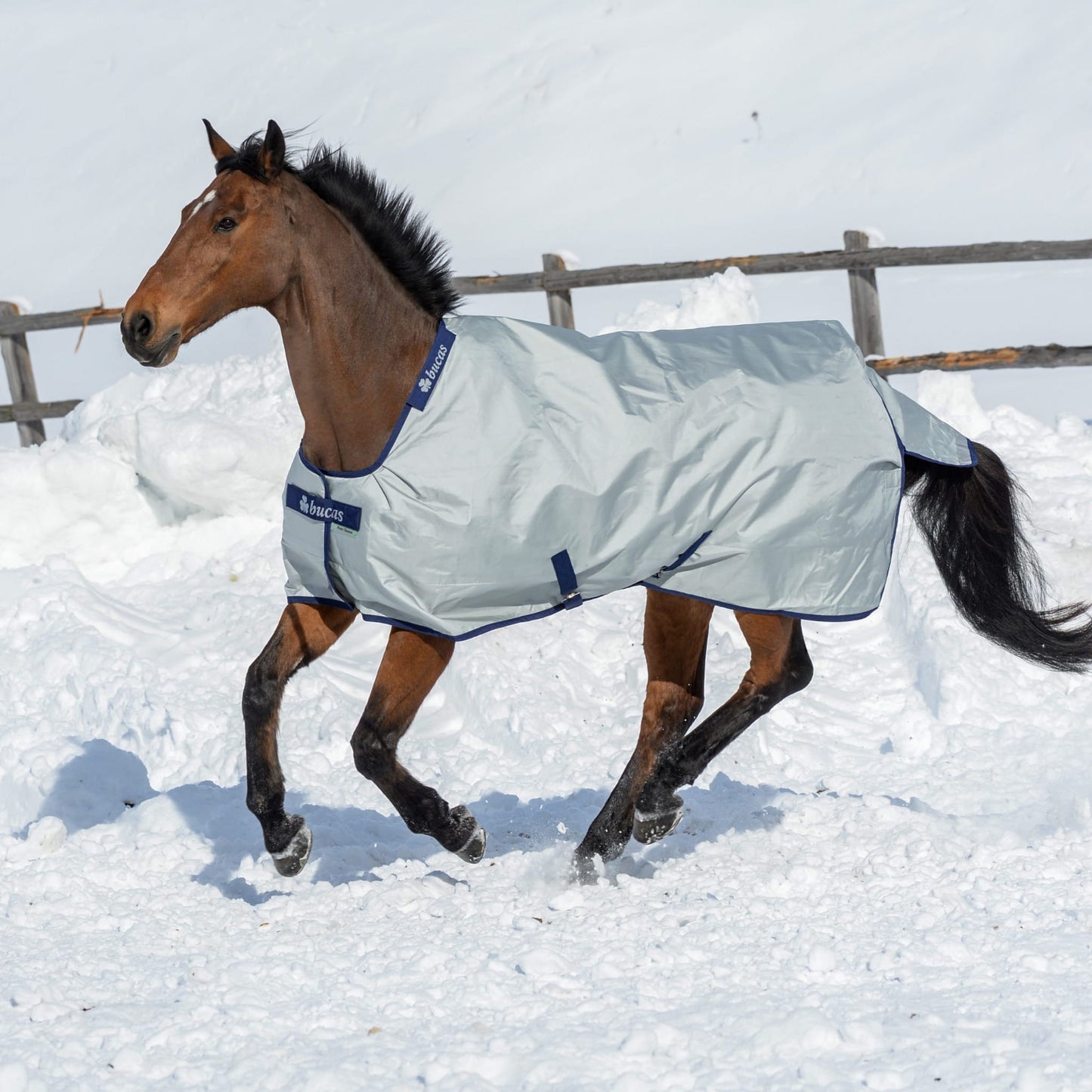 Derka Bucas Power Turnout light high neck