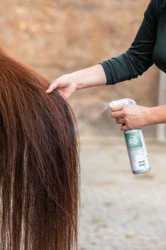 Spray do pielęgnacji sierści, grzywy i ogona dla konia ManeCare Wild Spices, 500 ml, MagicBrush