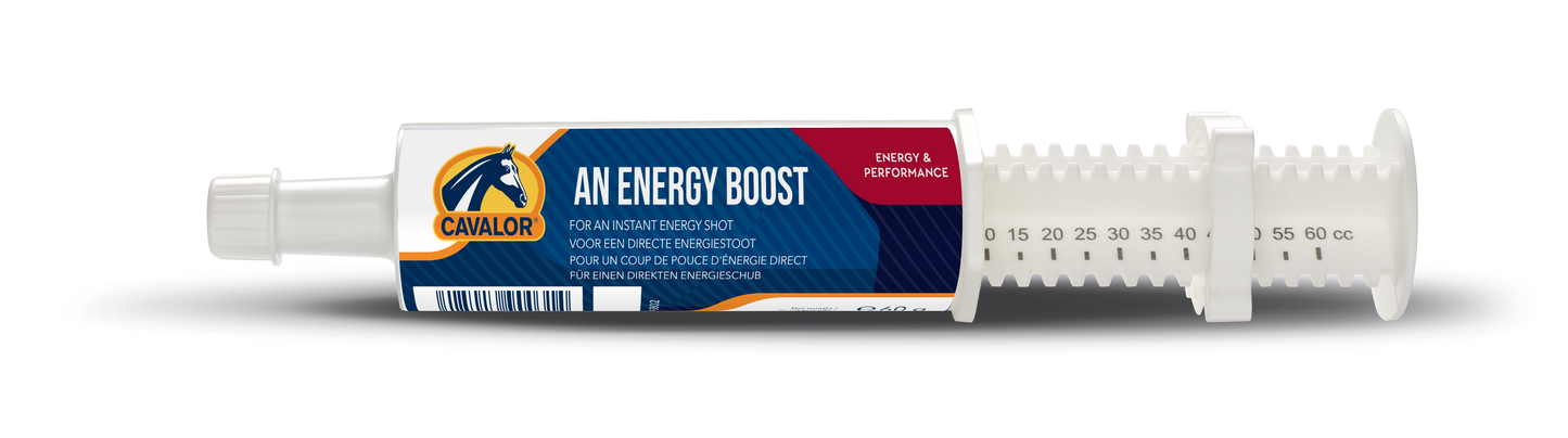 Cavalor An Energy Boost – szybka energia i regeneracja dla koni sportowych