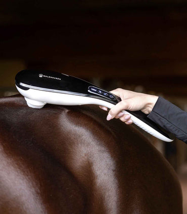 Waldhausen Health Masażer dla koni + Care GO - Anywhere