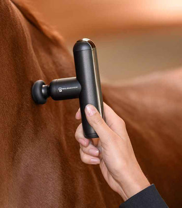 Waldhausen Health Masażer dla koni + Care PocketRelax