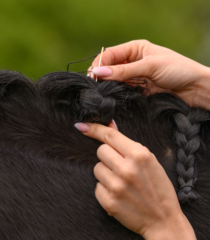 Waldhausen Mane-Plaiting Set – zestaw do zaplatania grzywy