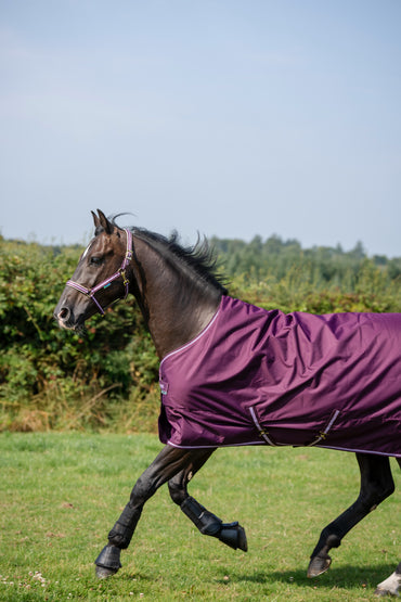 Derka padokowa Bucas Freedom Turnout 50g Blackberry