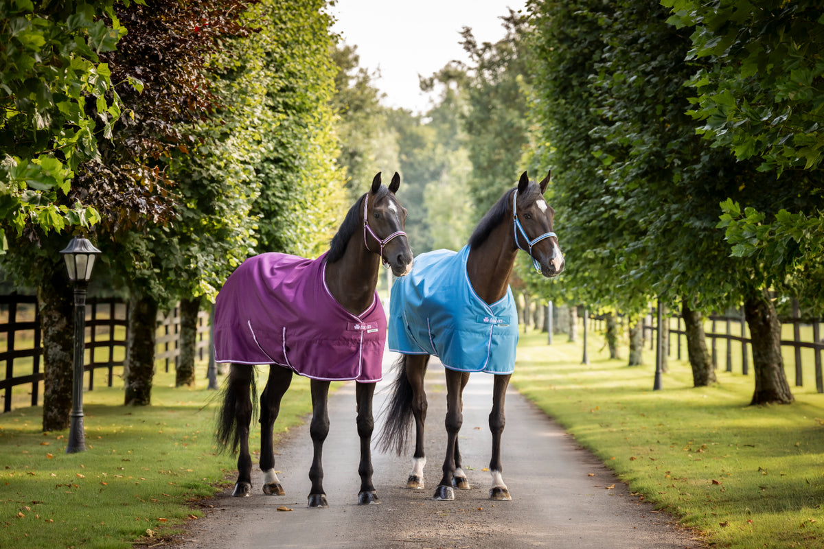 Derka stajenna Bucas Freedom Stable 150 AW26 Blackberry