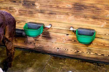 Poidło podgrzewane z zaworem pływakowym SH30, 24 V/31 W Kerbl