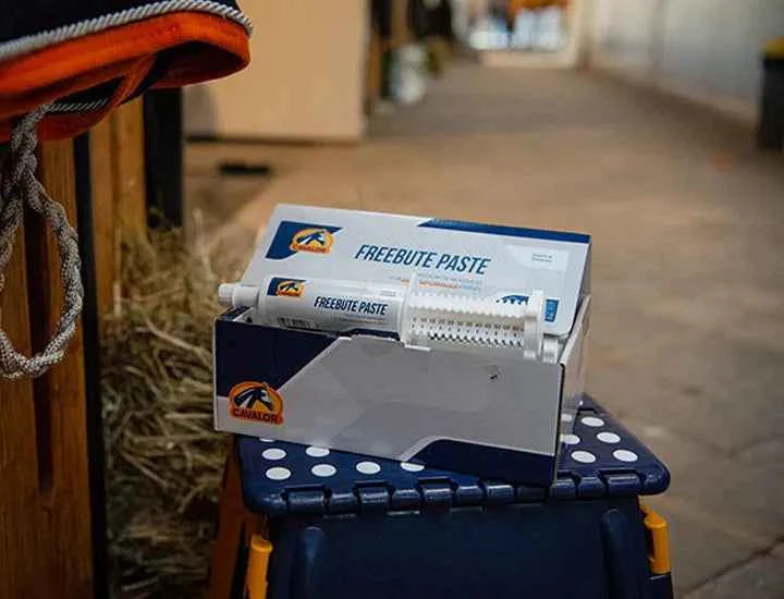 Cavalor FreeBute – naturalne wsparcie dla mięśni i stawów koni