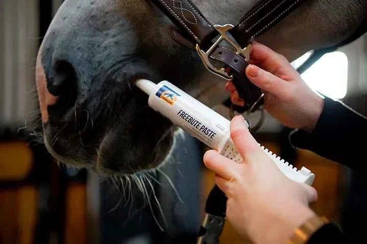 Cavalor FreeBute – naturalne wsparcie dla mięśni i stawów koni