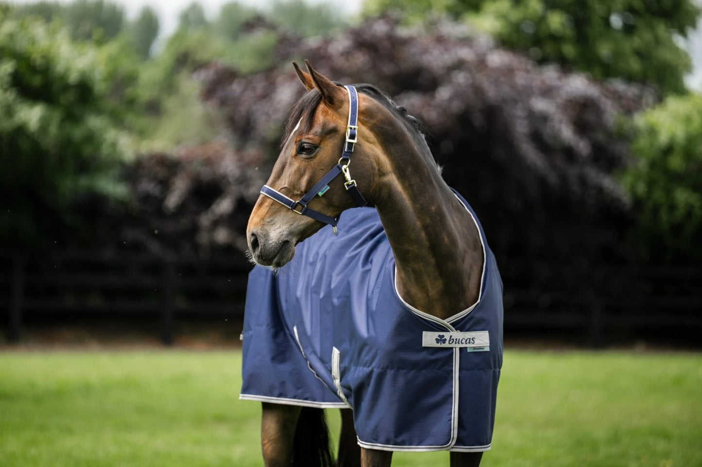 Derka Bucas Freedom Turnout High Neck 150g Navy/Silver