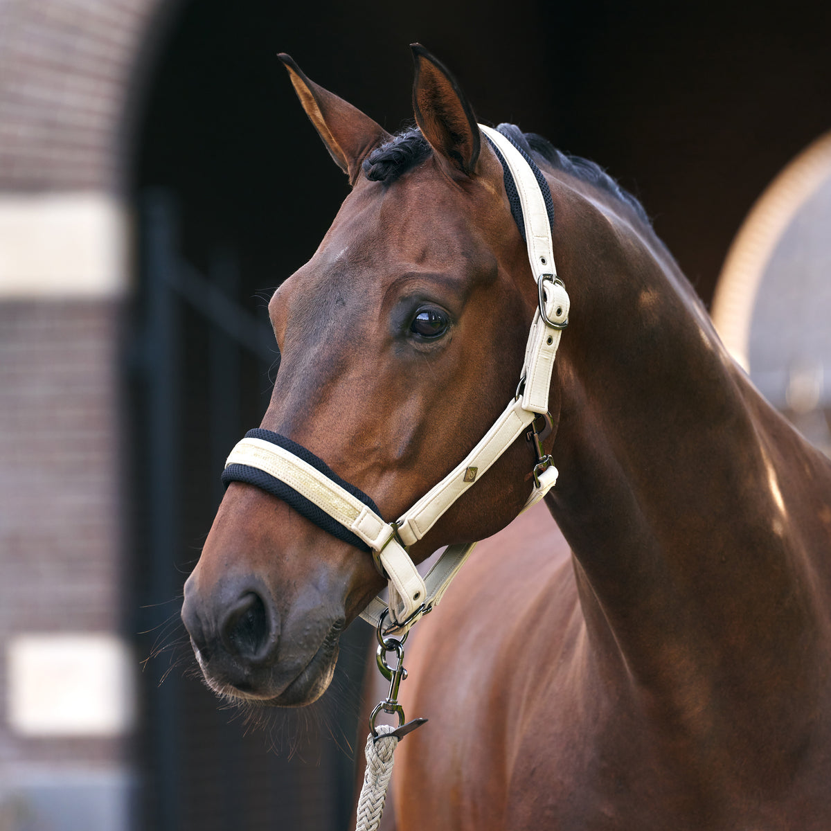 Imperial Riding Kantar Jewel Mesh Light Olive, kantar dla konia w rozmiarach Pony, Cob i Full