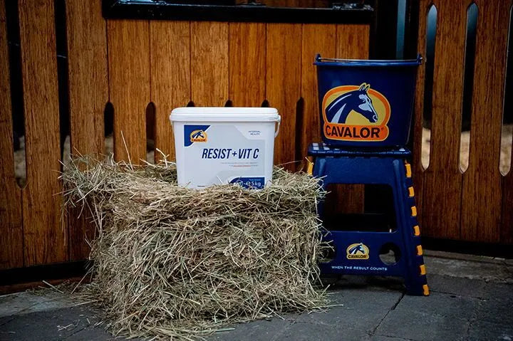 Cavalor Resist + Vit C - Suplement na odporność dla konia