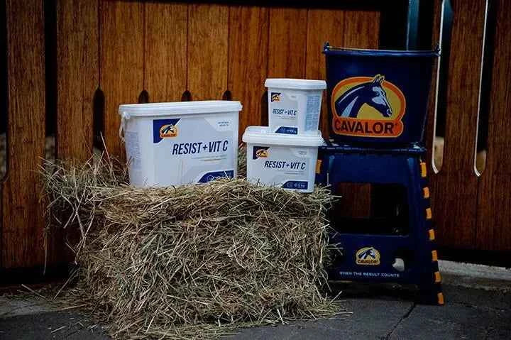 Cavalor Resist + Vit C - Suplement na odporność dla konia