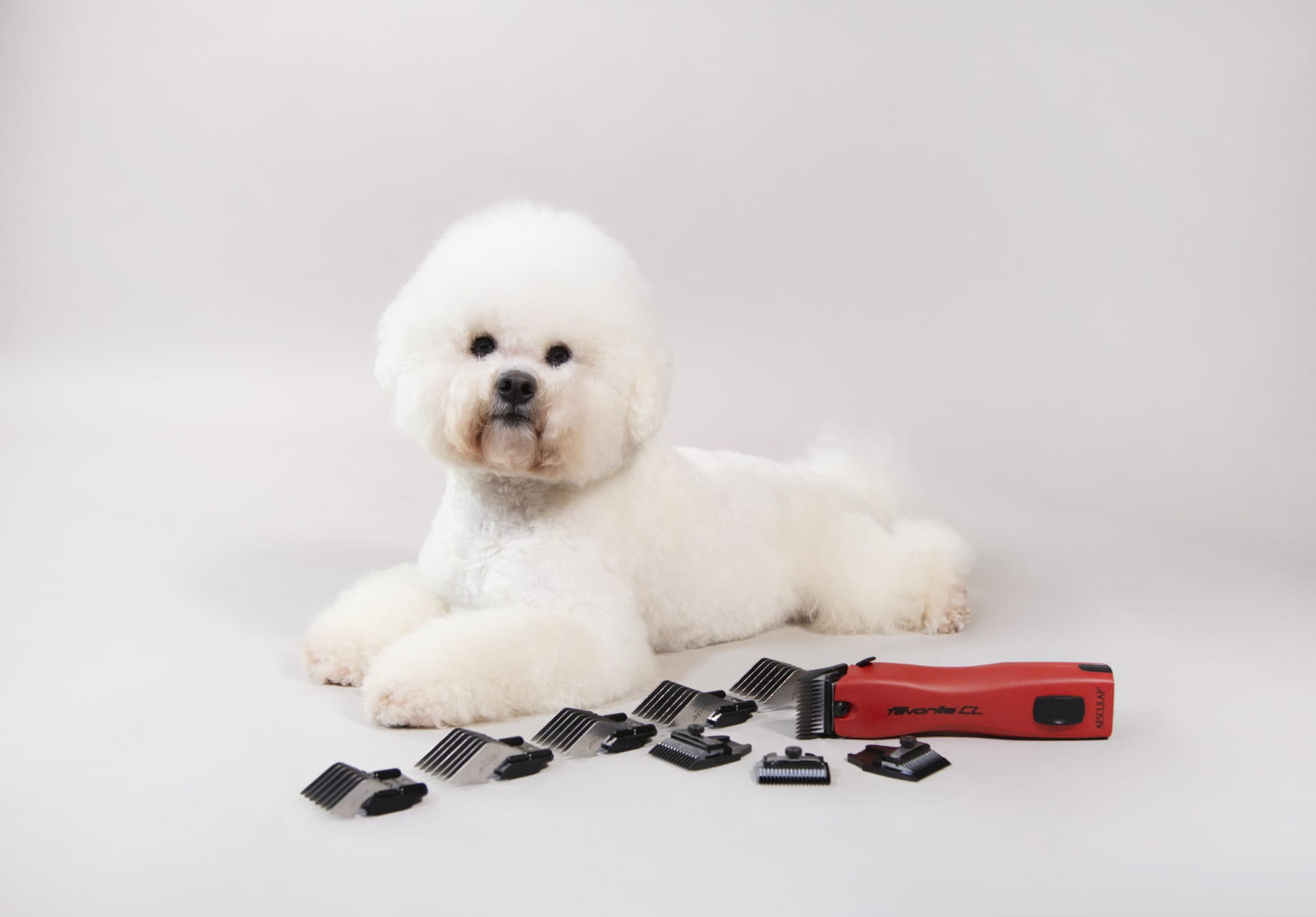 Głowica tnąca Favorita z powłoką węglową, 5 mm, Aesculap - Cavalo