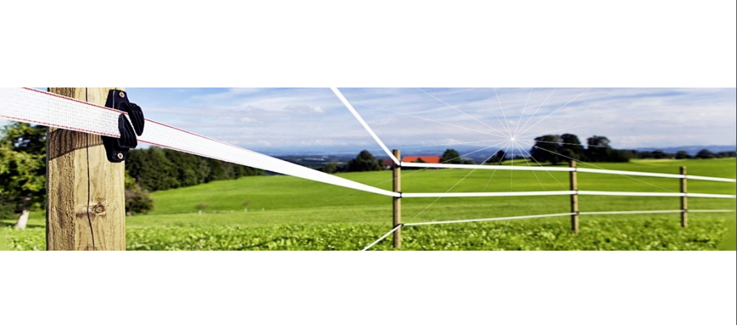 Pastuch elektryczny polski elektryzator sieciowy Agri 4000 -4,4 Jula - Cavalo
