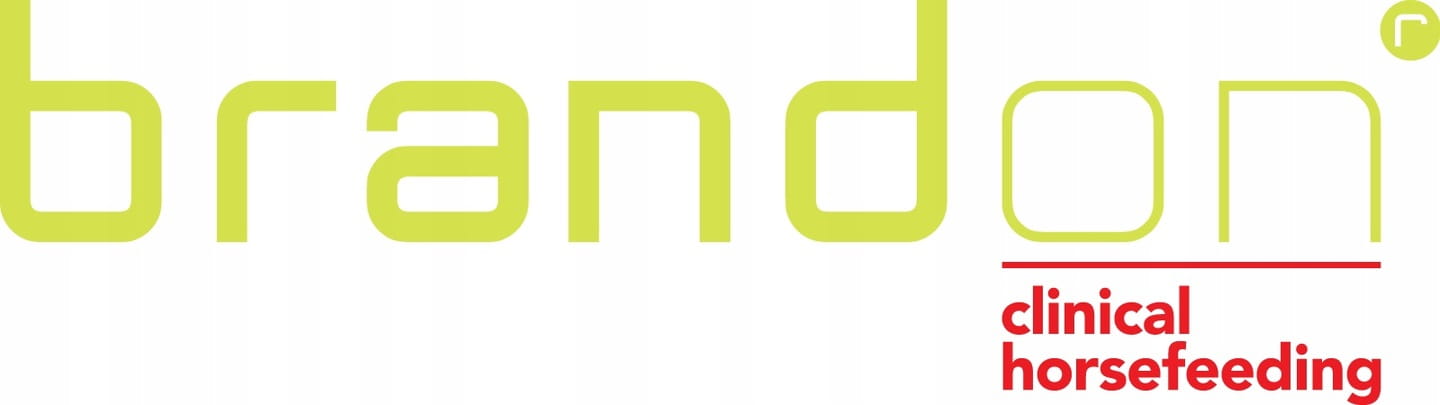 Pasza dla koni St.Hippolyt Brandon XS 25 kg - Cavalo