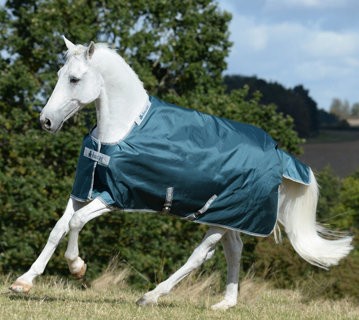 Derka Bucas Atlantic Turnout green 50g green - Cavalo