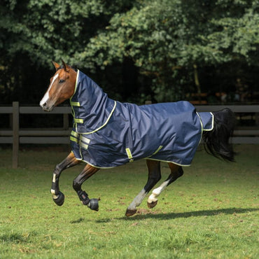 Derka Bucas Oasis Turnout 100 + Neck Grey/lime - Cavalo