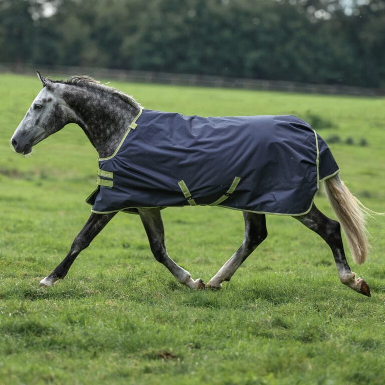 Derka Bucas Oasis Turnout 100 + Neck Grey/lime - Cavalo