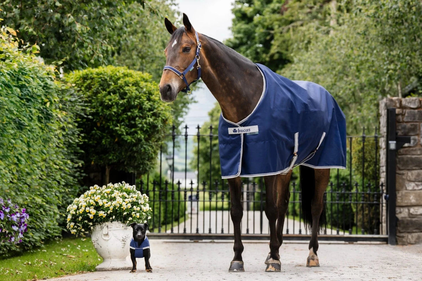 Derka padokowa Bucas Freedom Turnout 150g - Cavalo