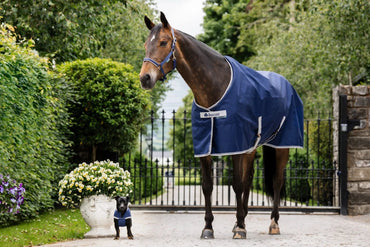 Derka padokowa Bucas Freedom Turnout 150g - Cavalo