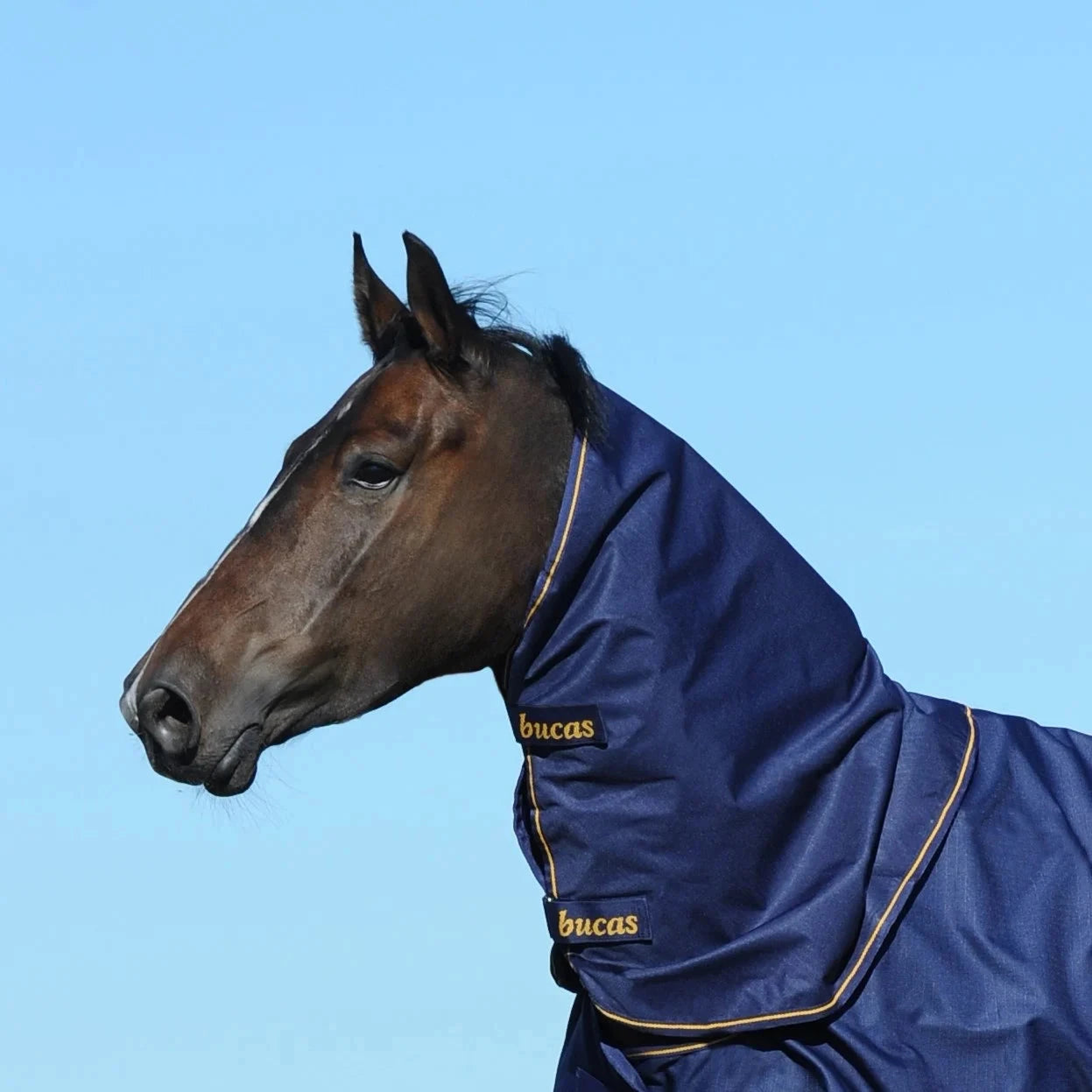 Kaptur Bucas Irish Neck - Cavalo