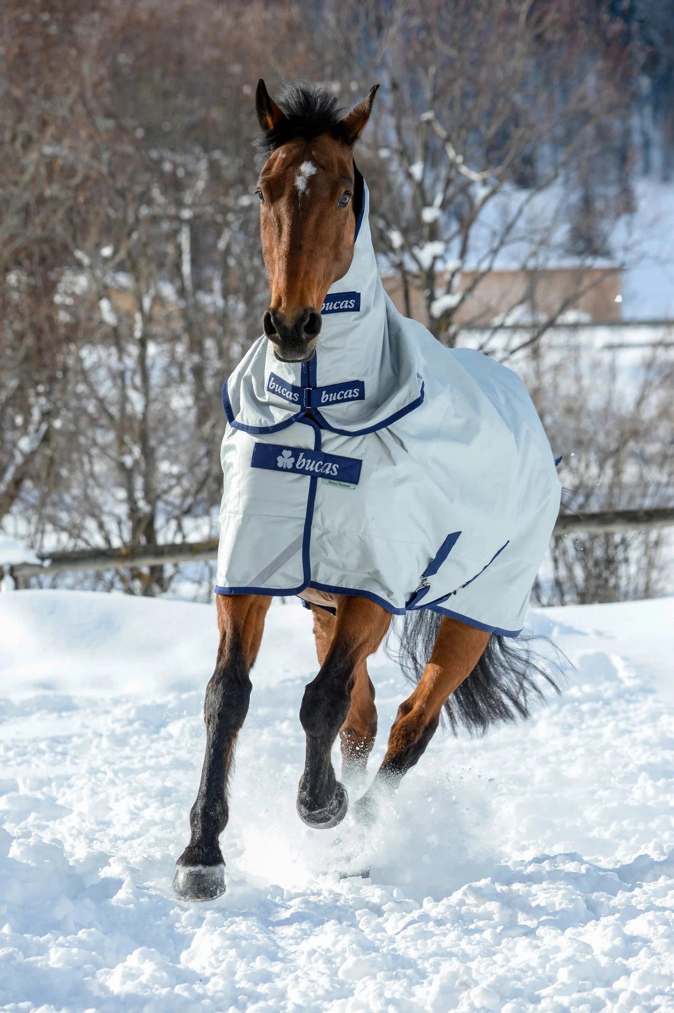 Kaptur Bucas Power Turnout Neck SIlver - Cavalo