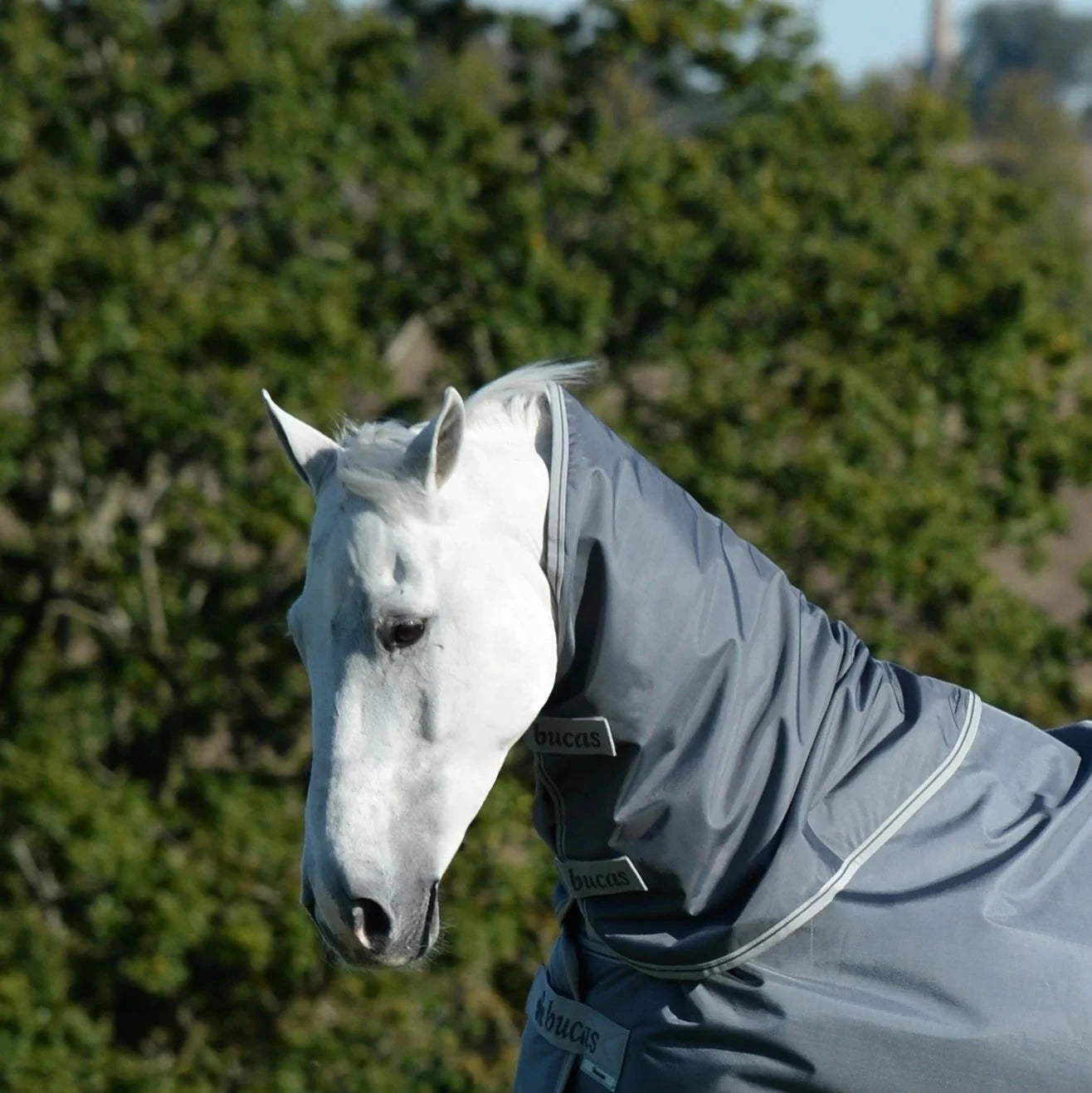 Kaptur Bucas Smartex Neck Iron Gate - Cavalo