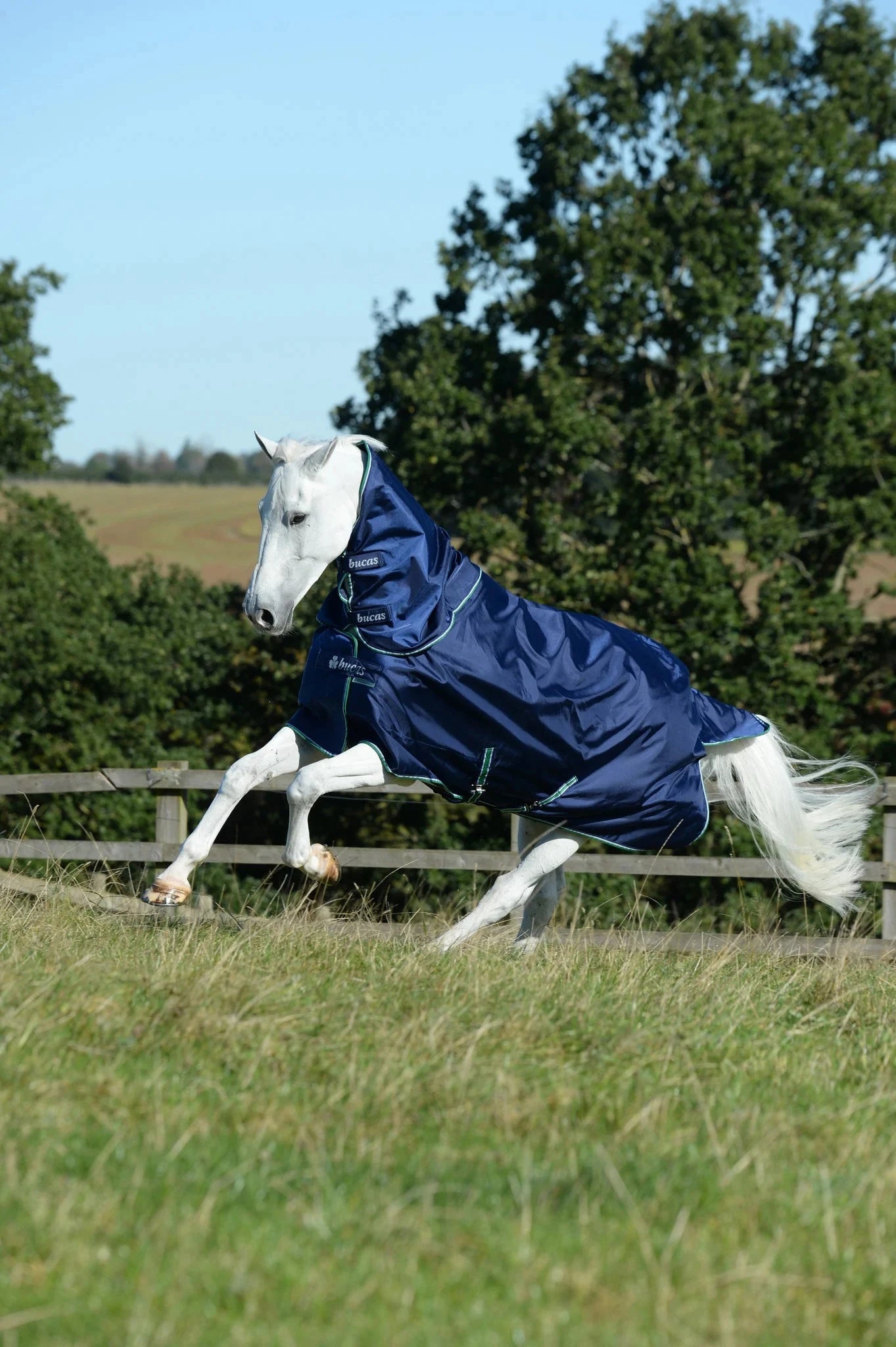 Kaptur Bucas Smartex Neck Iron Gate - Cavalo