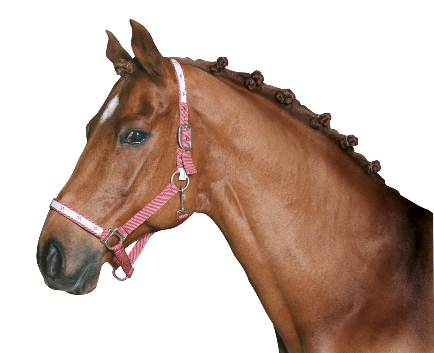 Gumki do grzywy konia 800 szt. Covalliero - Cavalo