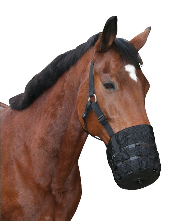 Kaganiec dla konia nylonowy czarny Covalliero - Cavalo