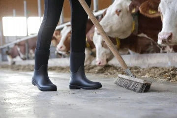 Kalosze jeździeckie NeoLite czarne Covaliero - Cavalo