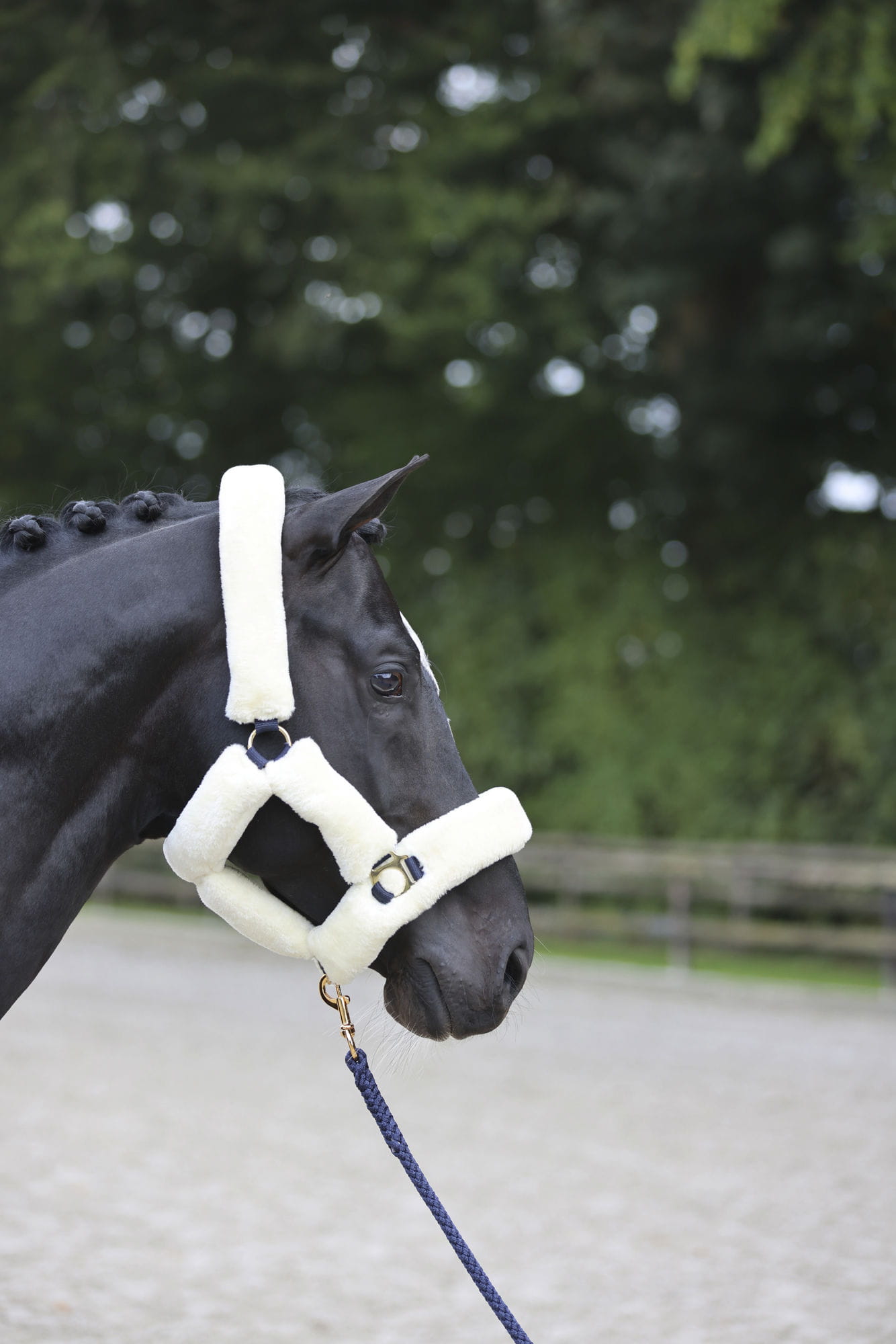 Kantar dla konia SuperSoft Covalliero - Cavalo