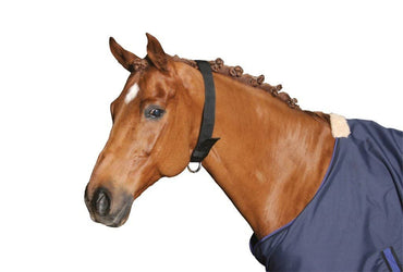 Obroża dla konia, nylonowa, czarny, roz. Full, Covalliero - Cavalo