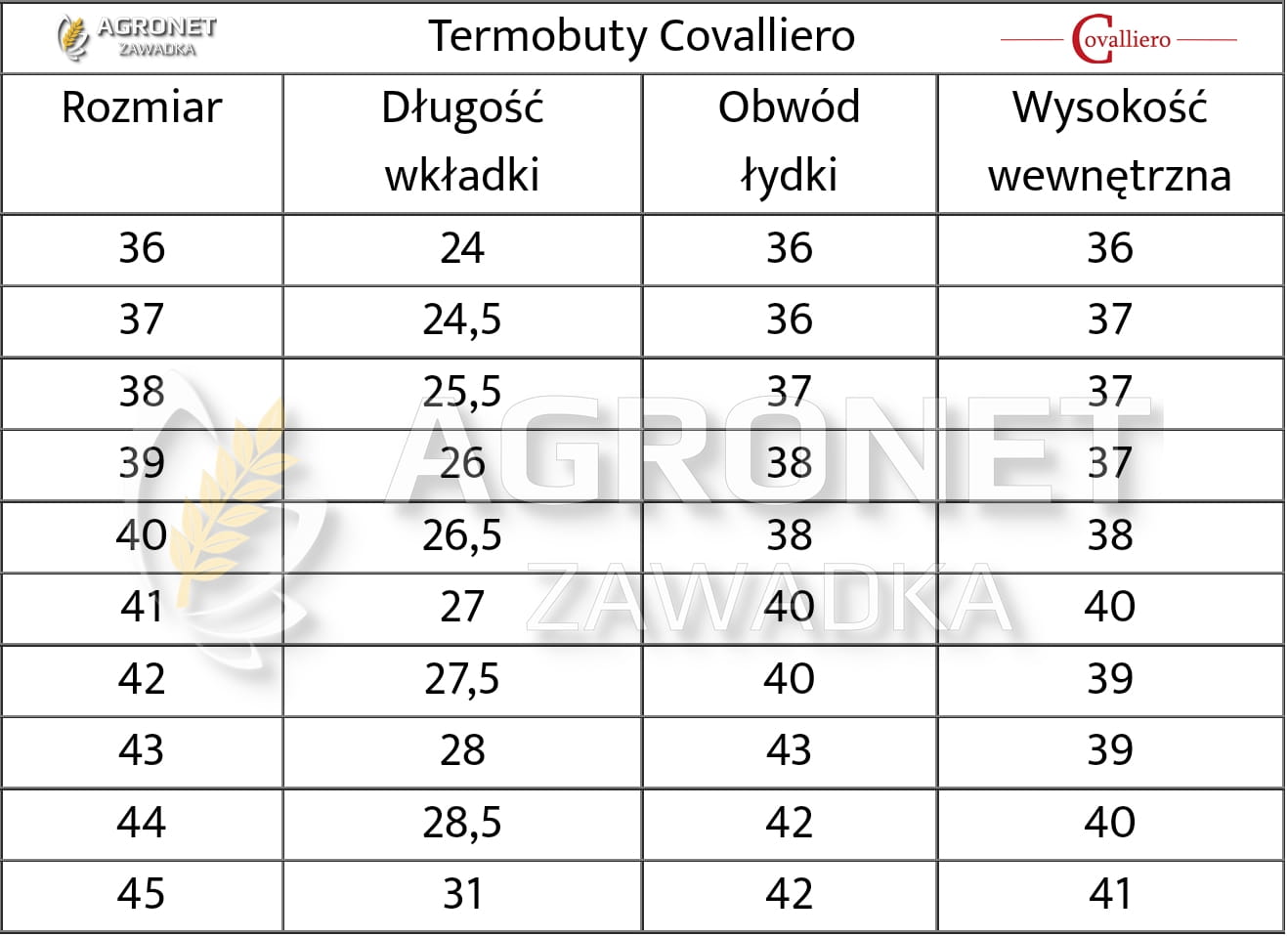 Termobuty Classic Covalliero - Cavalo