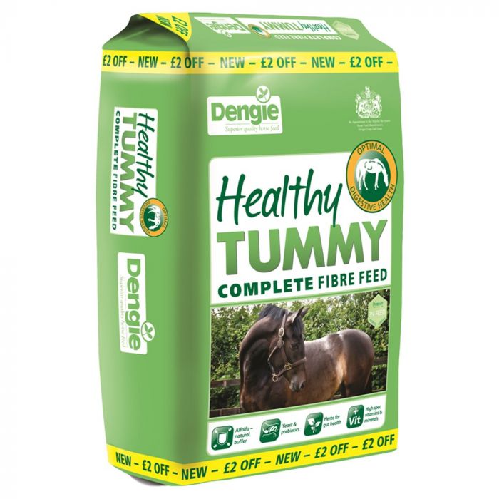 DENGIE pasza sieczka Healthy Tummy 20 kg - Cavalo