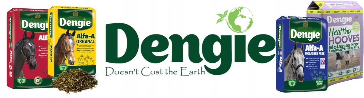 DENGIE pasza trawokulki Grass Pellets 20kg - Cavalo