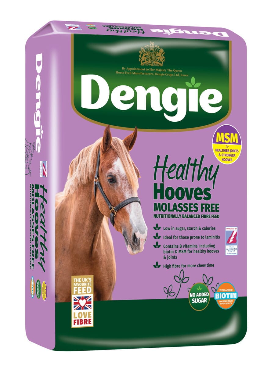 DENGIE sieczka Healthy Hooves Molasses Free 20kg - Cavalo