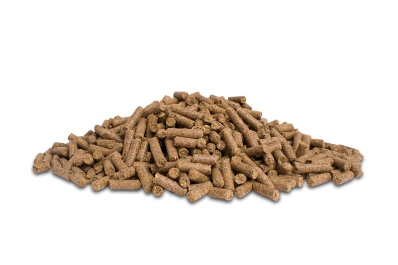 Pasza Dodson&Horrell Build Up Conditioning Cubes 20 kg - Cavalo