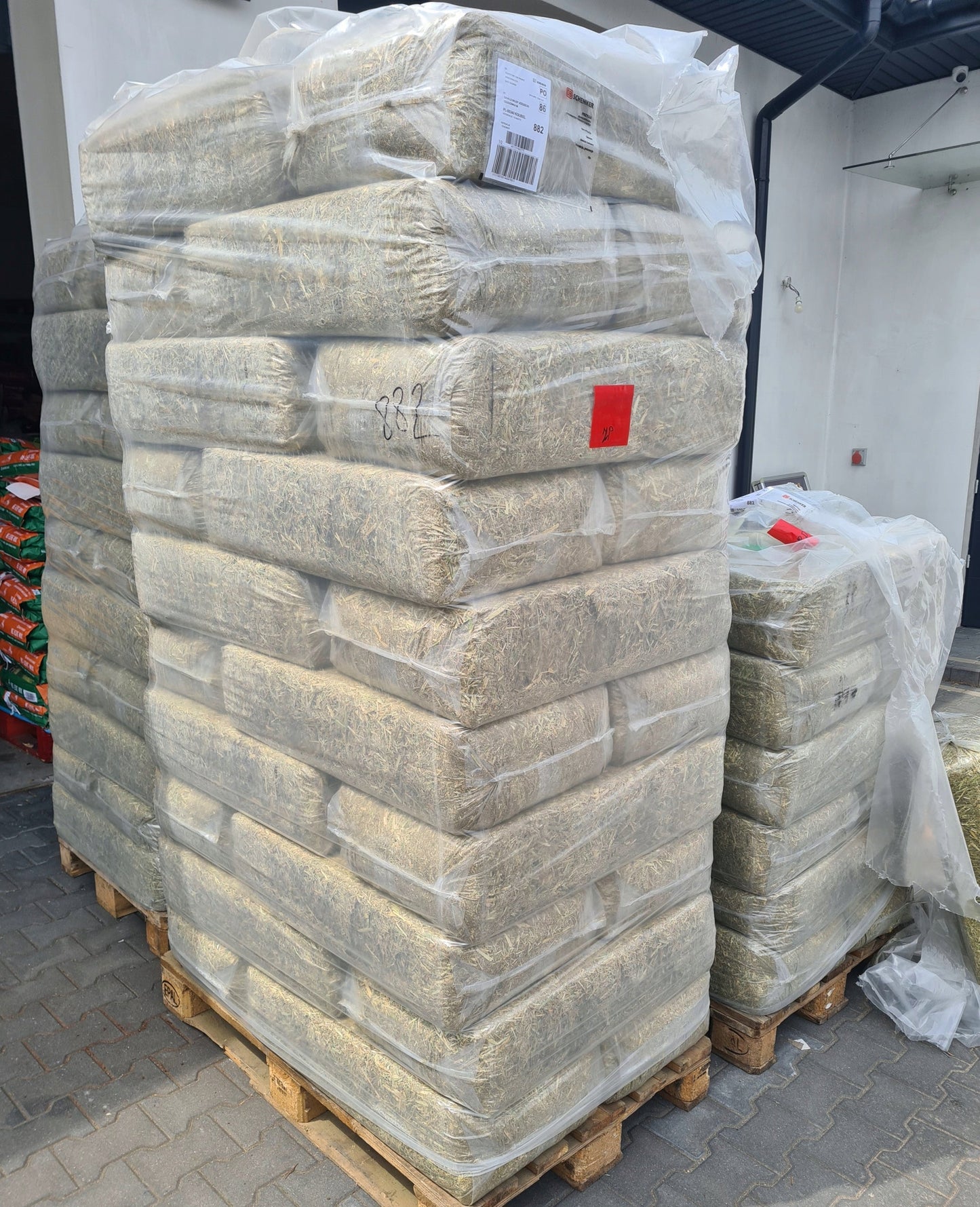 Eggersmann Alfa Gastro Plus Sieczka z lucerny 18 kg - Cavalo
