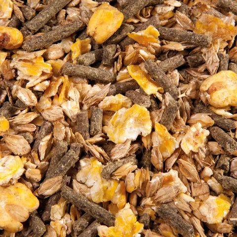 Pasza dla koni Eggersmann EMH Cool Musli 20 kg - Cavalo