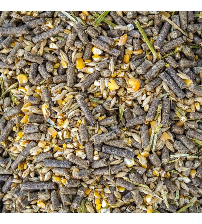 Pasza Eggersmann Korn Mix uzupeł niskobiałkowa 30kg - Cavalo